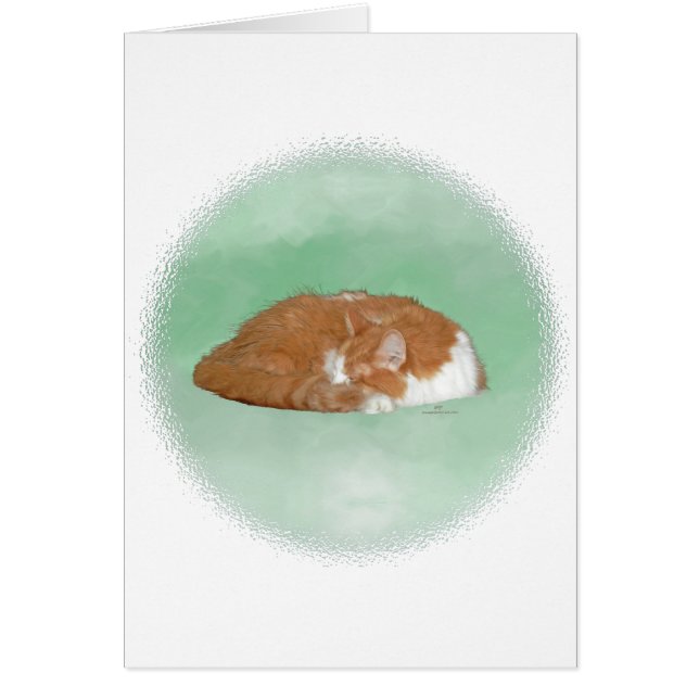 Gato Naranja Durmiendo (Frente)