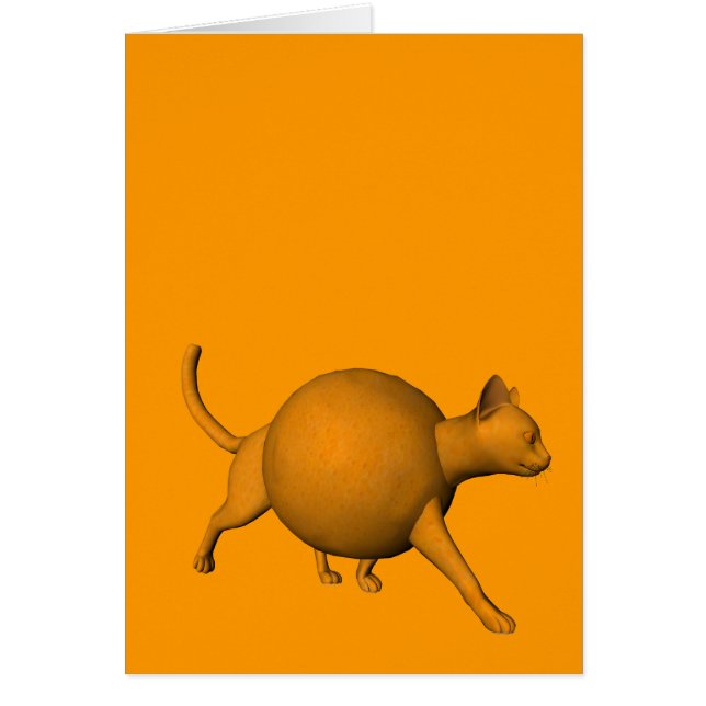 Gato Naranja gracioso (Frente)