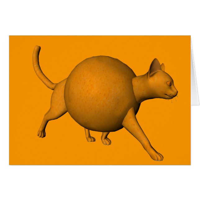 Gato Naranja gracioso (Anverso (Horizontal))
