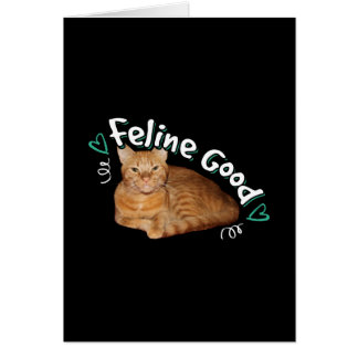 Gato naranja - Pun bueno felino