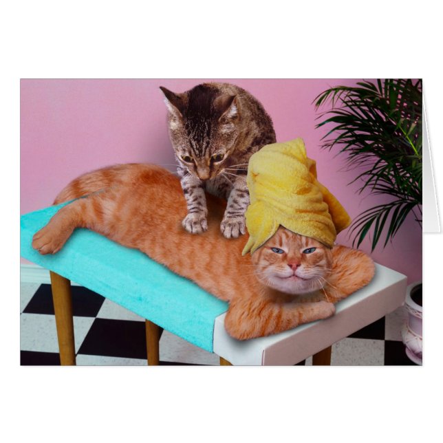 gato naranja que disfruta de un masaje de un gato (Anverso (Horizontal))
