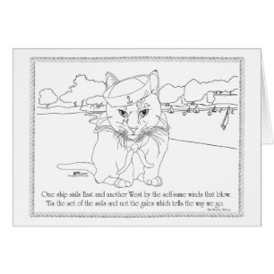 Gato náutico: ajuste del juego de velas