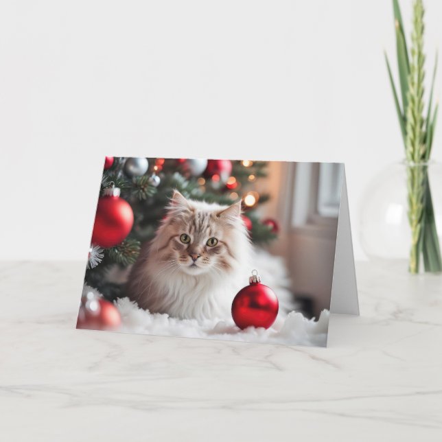 Gato navidad con ornamento rojo (Anverso)