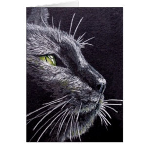 Gato negro