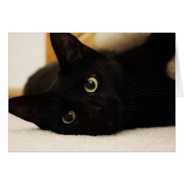 Gato negro (Anverso (Horizontal))