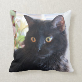 Gato negro, almohada de tiro