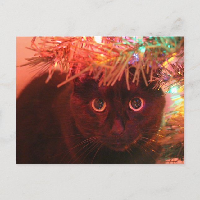 Gato negro bajo la postal del árbol de Navidad (Anverso)