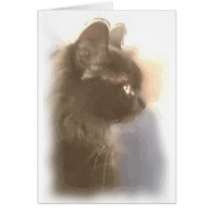 Gato negro color agua majestuoso