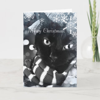 Gato negro con la tarjeta de Navidad de los copos