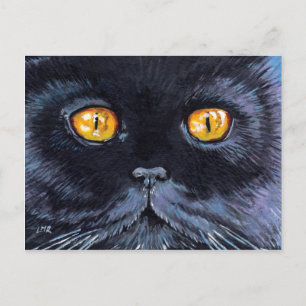 Gato negro con ojos amarillos   Postales de arte g