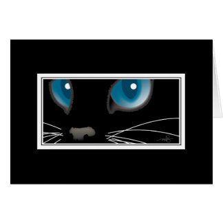 Gato negro con ojos azules