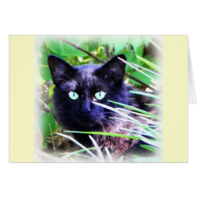 Gato negro con ojos verdes llamativos (Anverso (Horizontal))