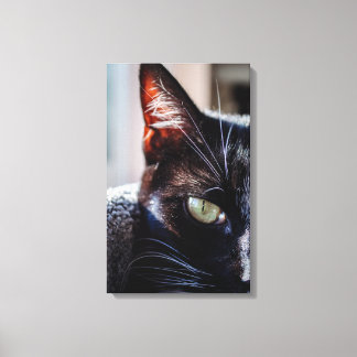 Gato Negro con Ojos Verdes sobre Lienzo