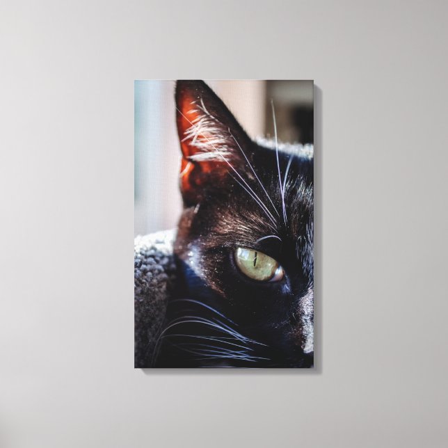 Gato Negro con Ojos Verdes sobre Lienzo (Anverso)