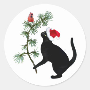 Gato negro con pájaro rojo en Pegatinas de árbol d