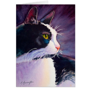 Gato negro de esmoquin en humor tormentoso