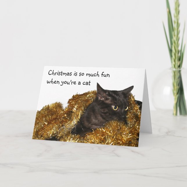 Gato negro del navidad (Anverso)