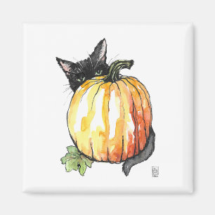 Gato negro detrás del imán de calabaza