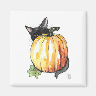 Gato negro detrás del imán de calabaza