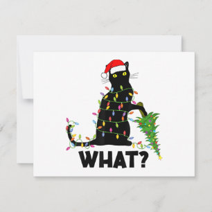 Gato negro divertido empujando el árbol de Navidad