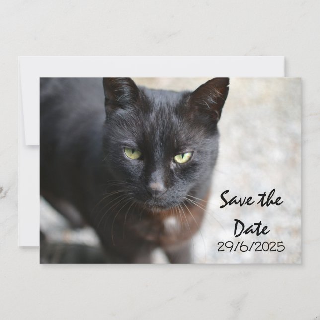 Gato negro doblado Guardar la tarjeta de invitació (Anverso)