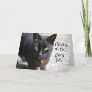 Gato negro doblado pensando en tu tarjeta de felic