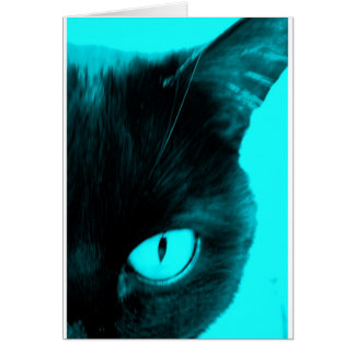Gato negro en azul
