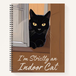 Gato negro en el Diario de la ventana