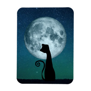 Gato negro en imán flexible bajo luz de la luna