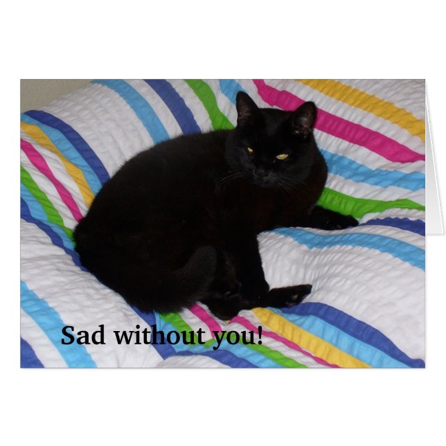 Gato negro en la cama (Anverso (Horizontal))