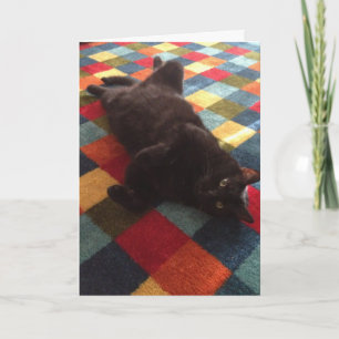 Gato negro en la tarjeta de cumpleaños de la alfom