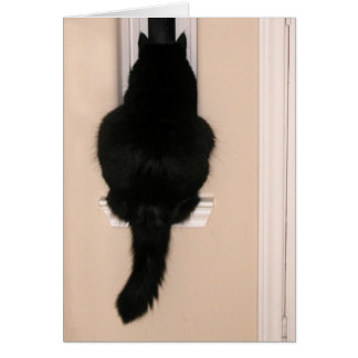 Gato negro en la ventana delgada