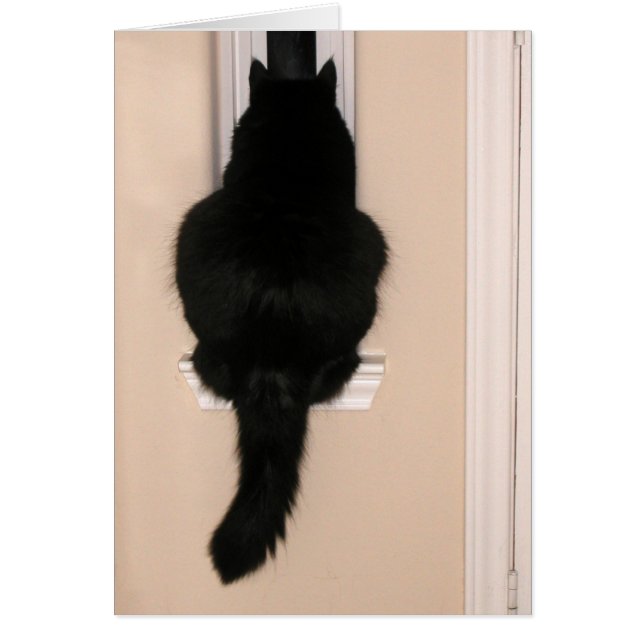 Gato negro en la ventana delgada (Frente)