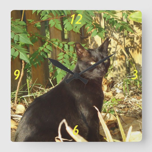 Gato negro en reloj de pared solar matutino (Anverso)