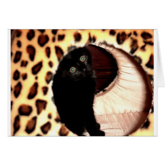 Gato negro en un leopardo