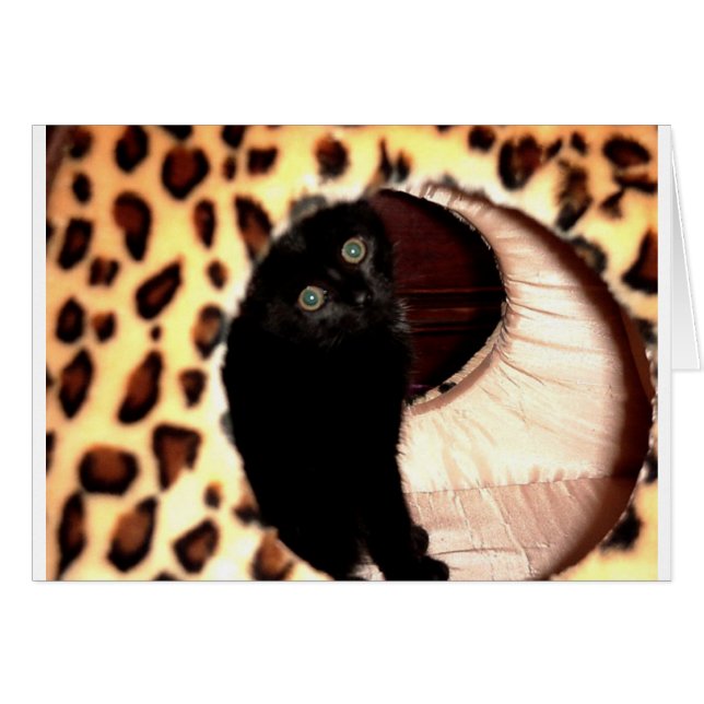 Gato negro en un leopardo (Anverso (Horizontal))