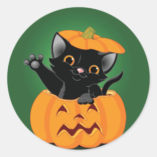 Gato Negro En Un Pegatina De Calabaza