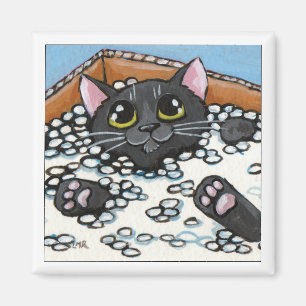 Gato negro en una caja de imán del gato de los