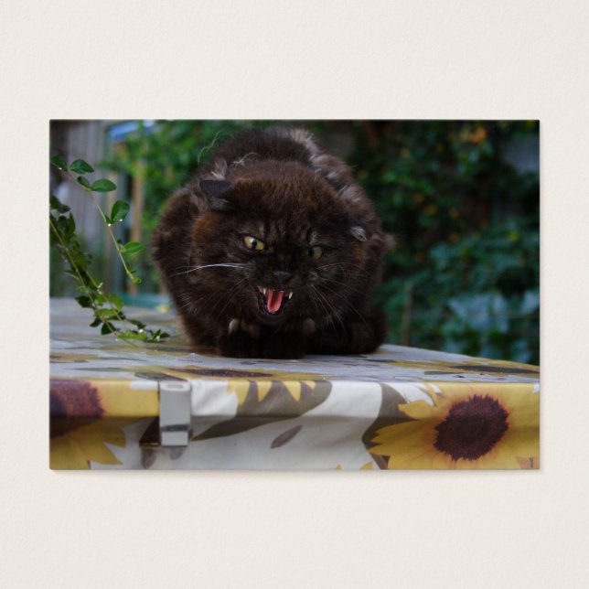 Gato negro enojado (Frente)