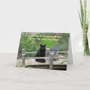 Gato negro esperando la tarjeta Bridge Easter