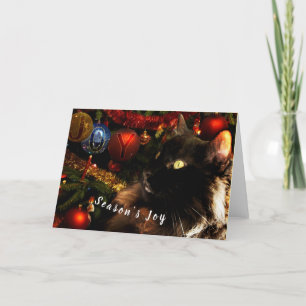 Gato Negro Feliz Navidad