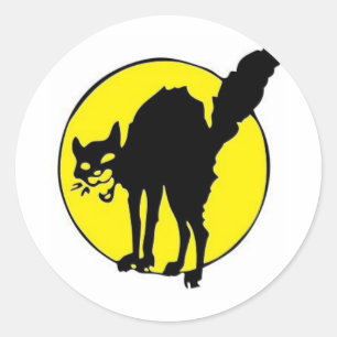 Gato negro frente a los Pegatinas de la luna
