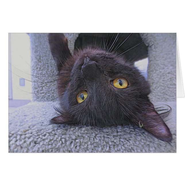 Gato negro hermoso (Anverso (Horizontal))