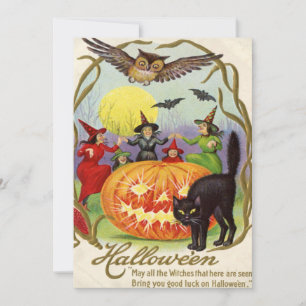 Gato negro Jack O Lantern Pumpkin Bruja Luna llena