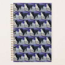 Gato negro planificador