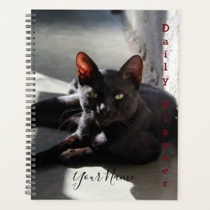 Gato negro - Planificador diario - HAMbWG
