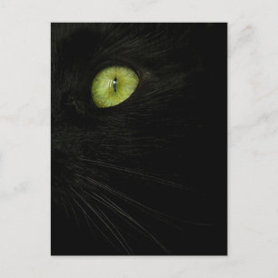 Gato negro, postal de ojos verdes