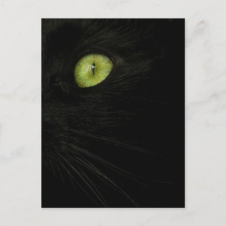 Gato negro, postal de ojos verdes