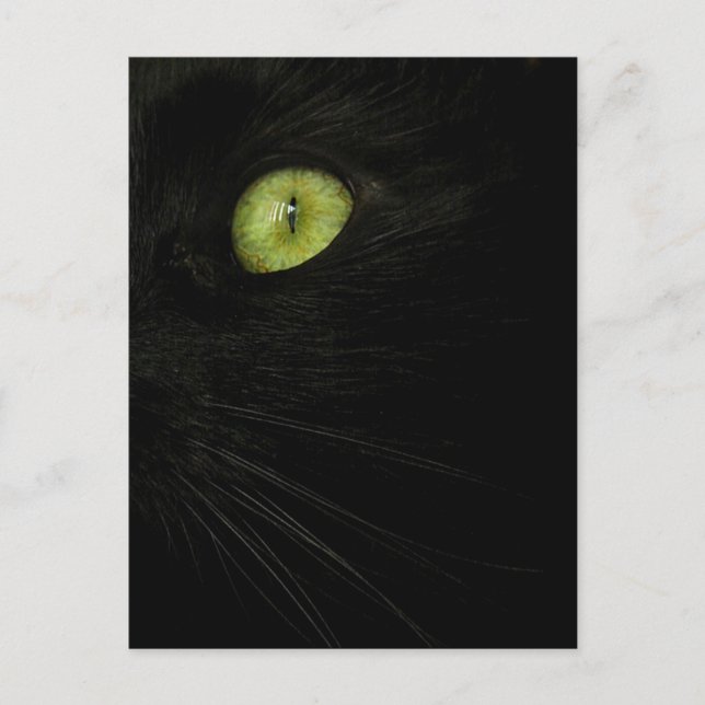 Gato negro, postal de ojos verdes (Anverso)