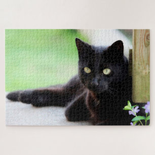 Gato negro sagrado dulce animal rompecabezas